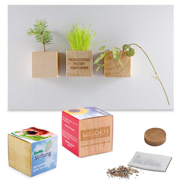 Pflanz-Holz Magnet mit Samen